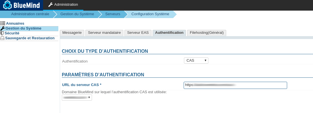 blog_post_llng_bluemind_screenshot