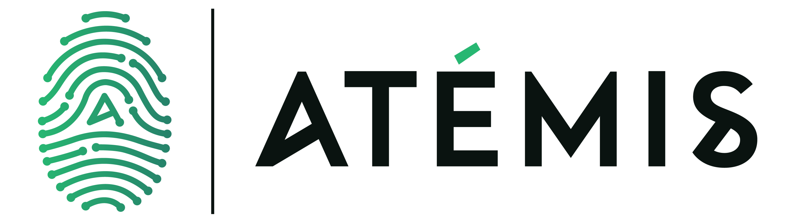 Logo Atemis - Partenaire BlueMind